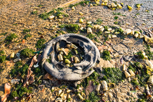 Preview: Garbage, Tire, Bottles And Trash Littered On Beach At Dead Horse Bay Brooklyn New York City