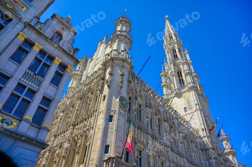 Preview: The Town Hall Of The City Of Brussels Is A Gothic Building From The Middle Ages. It Is Located On