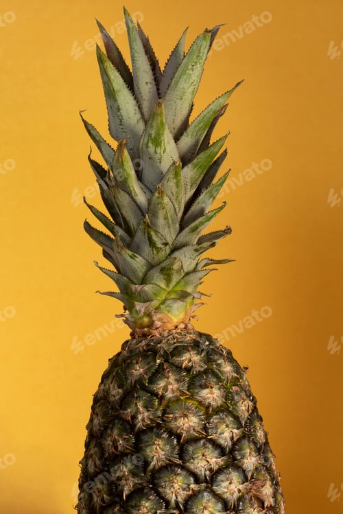 Preview: Green Growing Pineapple Top Crown On Yellow Background