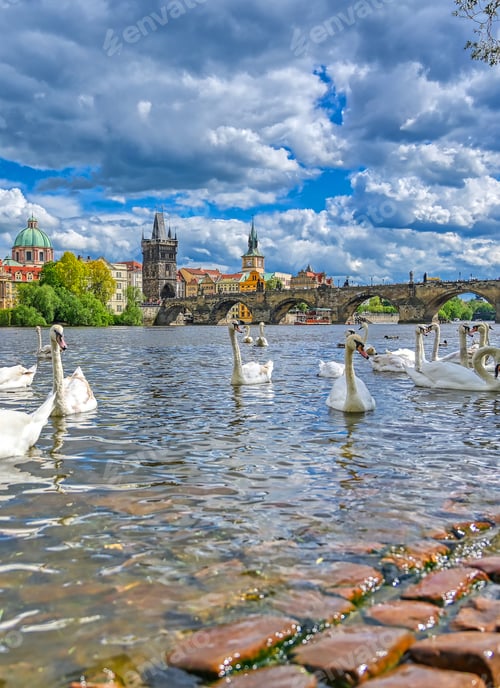 Preview: A View Of Old Town Prague And The Charles Bridge Across The Vltava River Filled With Swans In