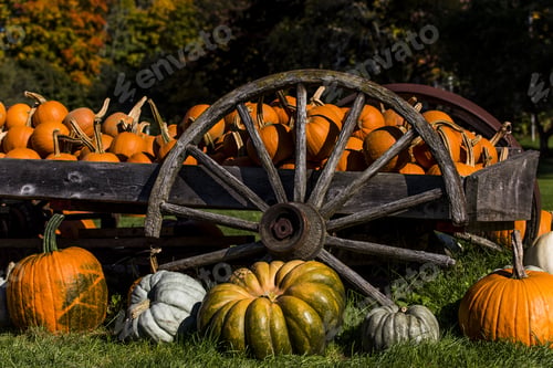 Preview: A Close View Of Pumpkins On A Wagon At A Farmers Market In Vermont.
