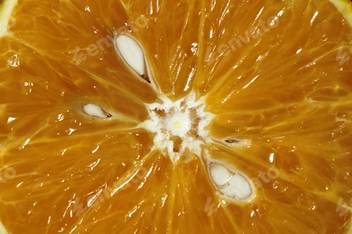 Preview: Close Up Of Sliced Orange