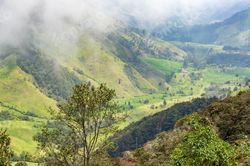 Preview: Looking Down On Cocora Valley Near Salento, Colombia