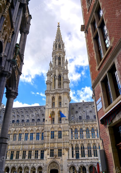 Preview: The Town Hall Of The City Of Brussels Is A Gothic Building From The Middle Ages. It Is Located On