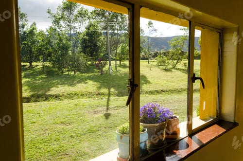 Preview: Windowsill And Flowers In Neusa In Cundinamarca, Colombia