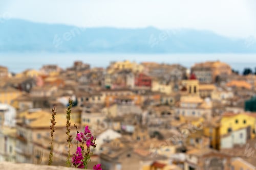 Preview: Flowers With An Out Of Focus Cityscape Of Corfu, Greece In The Background