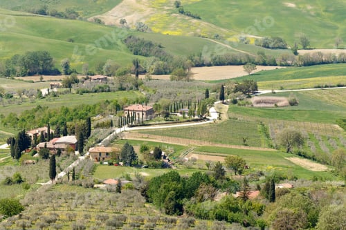 Preview: Farm Village In Tuscany, Italy With Planted Fields And Olive Groves