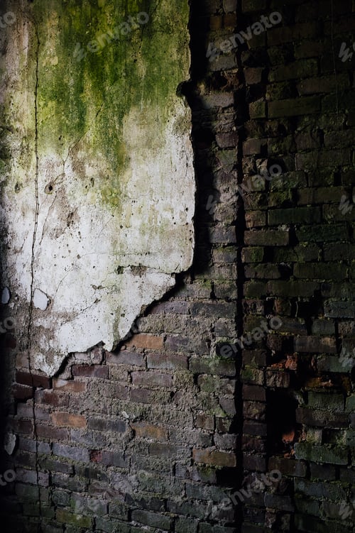 Preview: A View Of The Remains Of Plastered Walls And Bare Brick Covered In Green Moss In A Long Abandoned