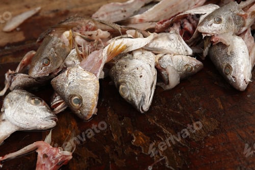 Preview: Fish Waste Close Up On Wooden Board.