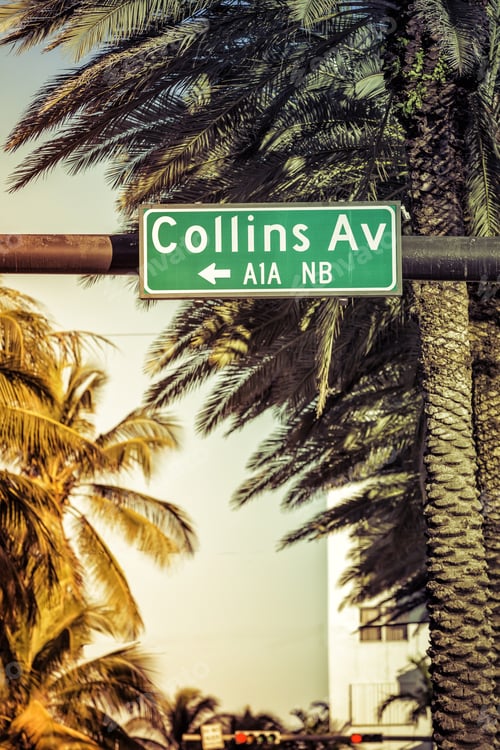 Preview: Coconut Palm Trees Against Collins Avenue Sign In Miami Beach, Florida