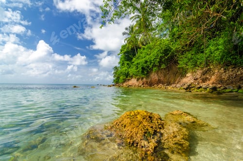 Preview: View Of Lush Green Tropical Coast In The Caribbean Sea On San Andres Y Providencia, Colombia