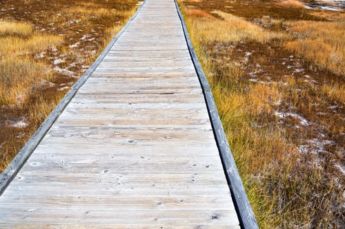 Preview: Boardwalk In The Upper Geyser Basin In Yellowstone National Park