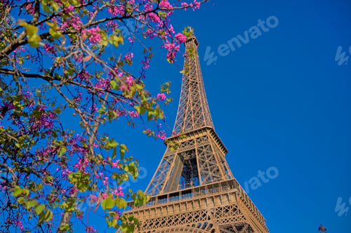 Preview: A View Of The Eiffel Tower In Paris, France.