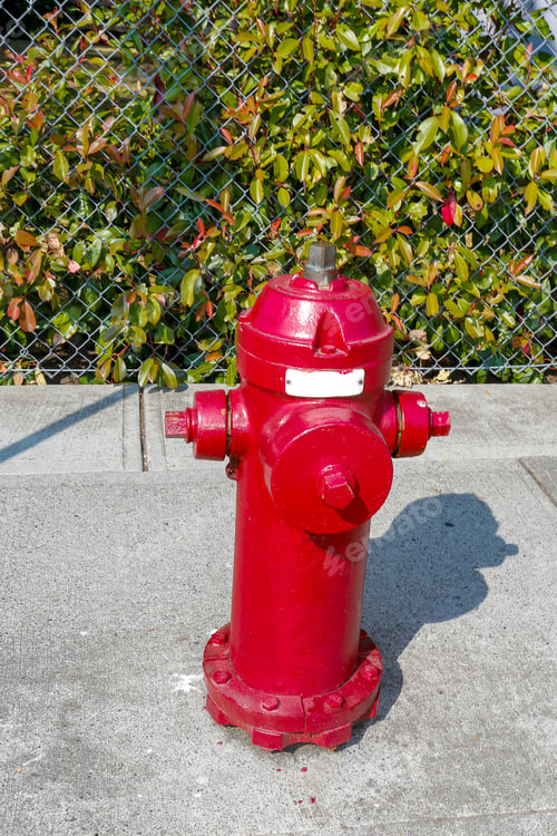Preview: Old Red Fire Hydrant On The Street Near The Garden