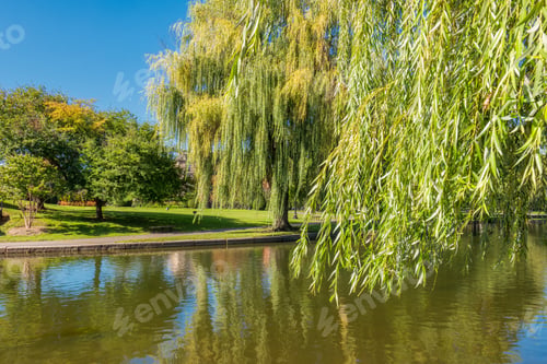 Preview: Boston Common Frog Pond Is A Central Public Garden Park In Downtown Boston, Massachusetts. And City