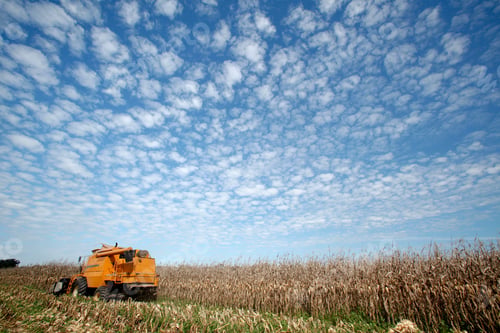 Preview: Corn Harvest On Farmland In Brazil