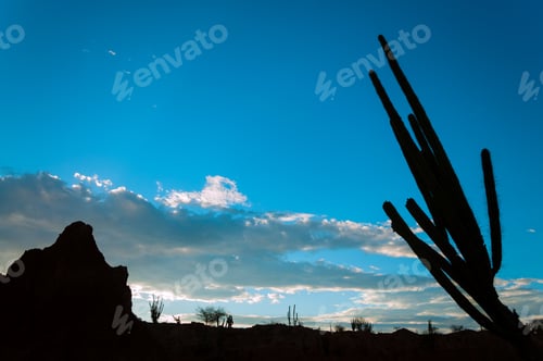 Preview: Wide View Of A Beautiful Silhouette Of A Desert Landscape With A Deep Blue Sky