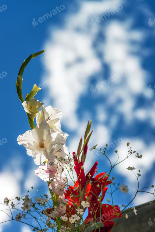Preview: Flowers In A Cemetery In Concepcion, Peru