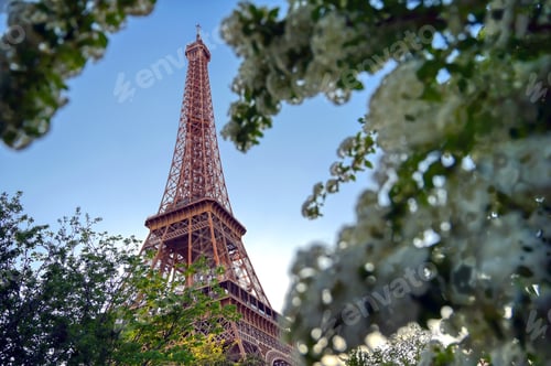Preview: The Eiffel Tower Across The River Seine In Paris, France.