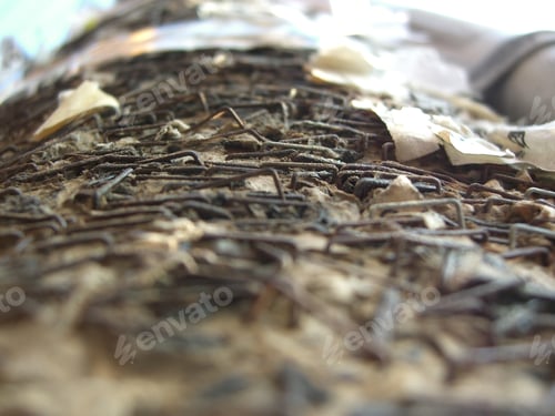 Preview: Telephone Pole Hundreds Of Staples Macro