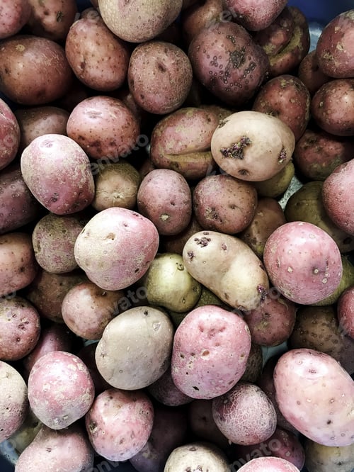 Preview: Fresh From The Garden, Vegetables On The Farm Market Natural Local Products, Some Of The Different
