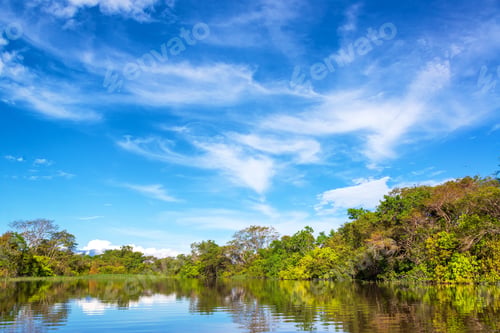 Preview: Reflection Of The Javari River In The Amazon Rain Forest In Brazil