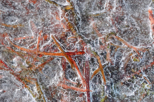 Preview: Abstract Ice Crystal Formation