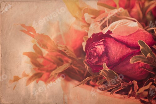 Preview: Wilted Rose Bouquet With Vintage Texture Effect