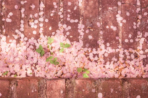 Preview: Vintage Tone Image Of Fallen Tree Petals On Brick.