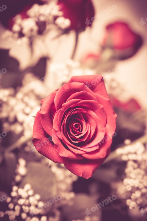 Preview: Lovely Bouquet Of Pink Roses And Babys Breath With Vintage Tone.