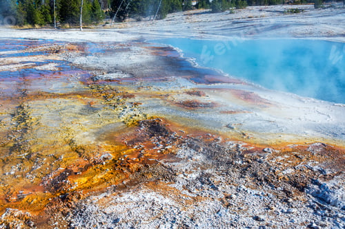 Preview: Bacteria Mat Next To Black Pool In West Thumb Geyser Basin In Yellowstone National Park