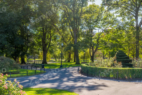Preview: Boston Usa Public Garden, Common Frog Pond And City Skyline.