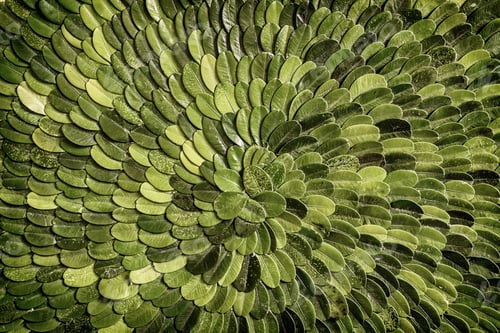 Preview: Green Leaf Texture Background