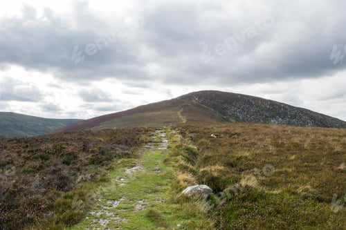 Preview: Green Mountains In The Wicklow, Glendalough, Ireland