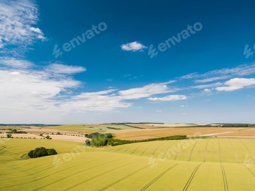 Preview: Aerial View Of Ripening Wheat Crop Fields On Farm Under Blue Sky And White Clouds On Farm