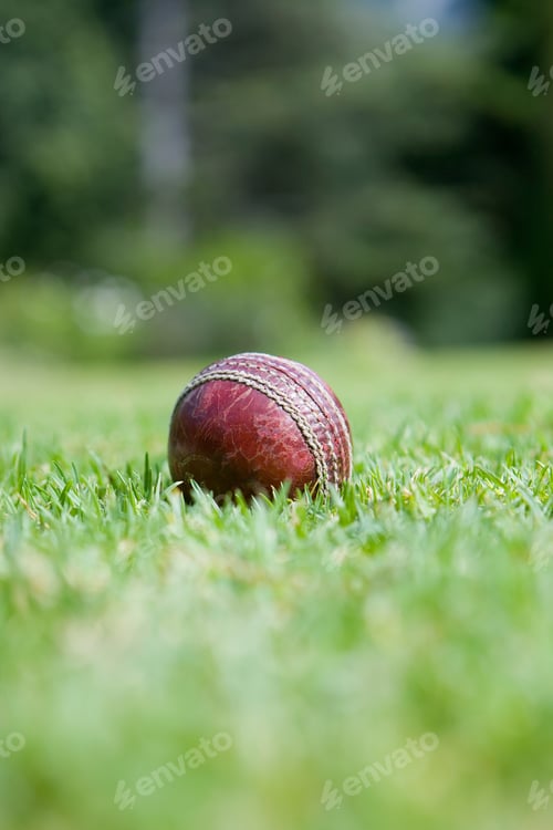 Preview: Cricket Ball On Grass, Ground View