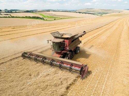 Preview: Harvest Aerial Overhead Of Combine Harvester Cutting Summer Wheat Field Crop On Farm
