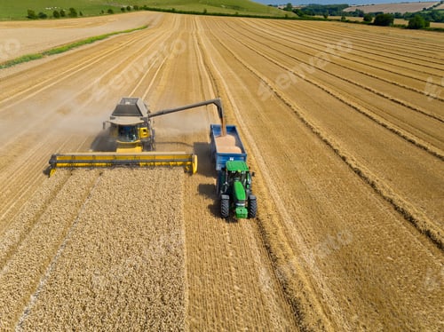 Preview: Aerial View Of Combine Harvester Harvesting Wheat Crop