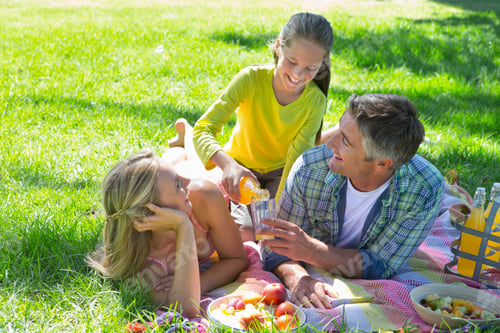 Preview: Couple Lying On The Ground With Their Daughter Pouring Drinks For Them While On A Picnic.