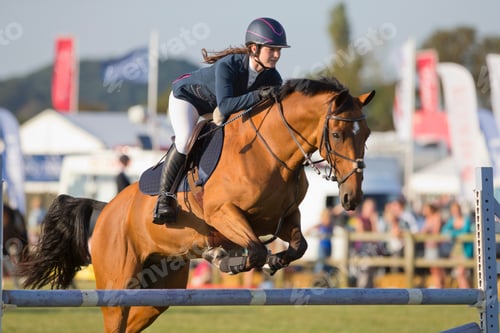 Preview: A Jockey Crossing A Hurdle In A Race