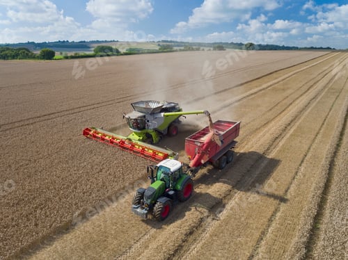 Preview: Aerial View Of Combine Harvester Harvesting Wheat And Filling Tractor Trailer With Grain