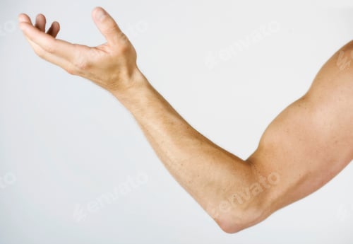 Preview: A Male Nude Arm With Muscles