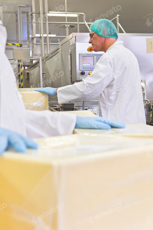 Preview: Worker Examining Block Of Cheese At Production Line In Processing Plant
