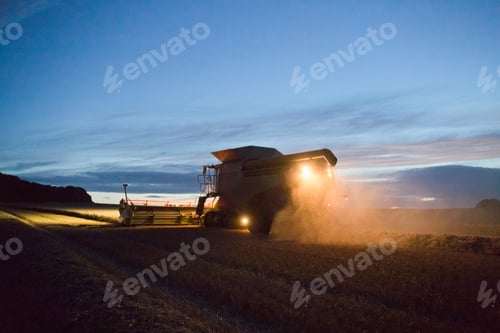 Preview: Combine Harvester Harvesting Wheat Crop At Night