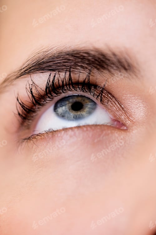Preview: Woman'S Right Eye And Eyebrow, Looking Upwards