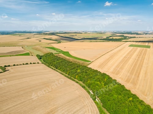Preview: Aerial Landscape Of Summer Wheat And Barley Field Crops For Harvest, Forest Woodland Trees And Blue