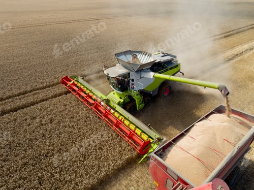 Preview: Aerial View Of Combine Harvester Harvesting Wheat And Filling Tractor Trailer With Grain