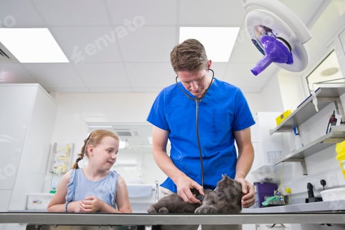 Preview: Vet Examining Pet Cat On Table In Surgery With Child Owner