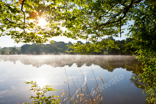 Preview: Green Trees Over A Tranquil Lake