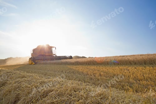 Preview: Combine Harvester Running Across A Rural Field Reaping Wheat.